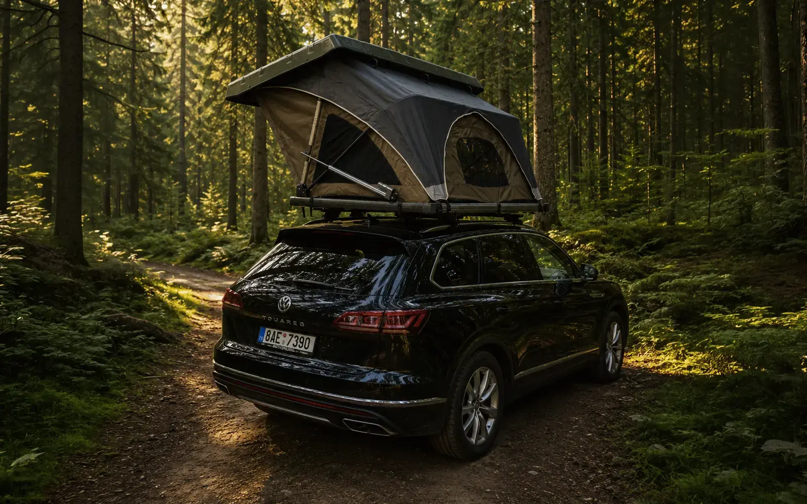 Nest Adventure – fotka 3