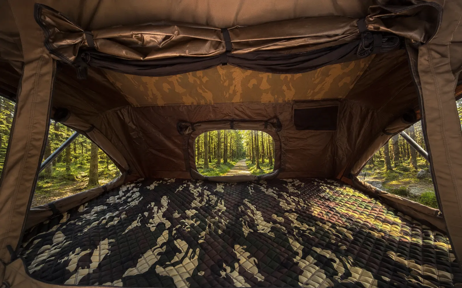 Nest Adventure – fotka 5