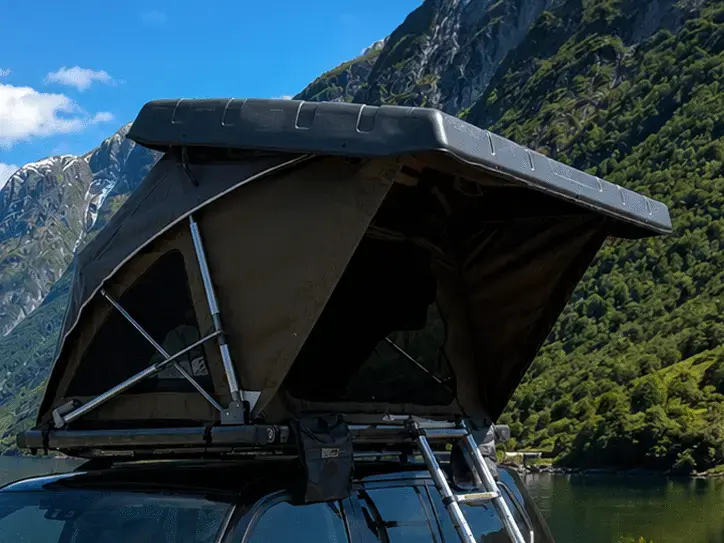 Nest Nomad